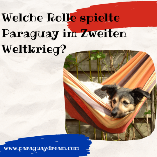 Welche Rolle spielte Paraguay im zweiten Weltkrieg paraguaydream.com